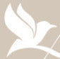 KAVIN logo